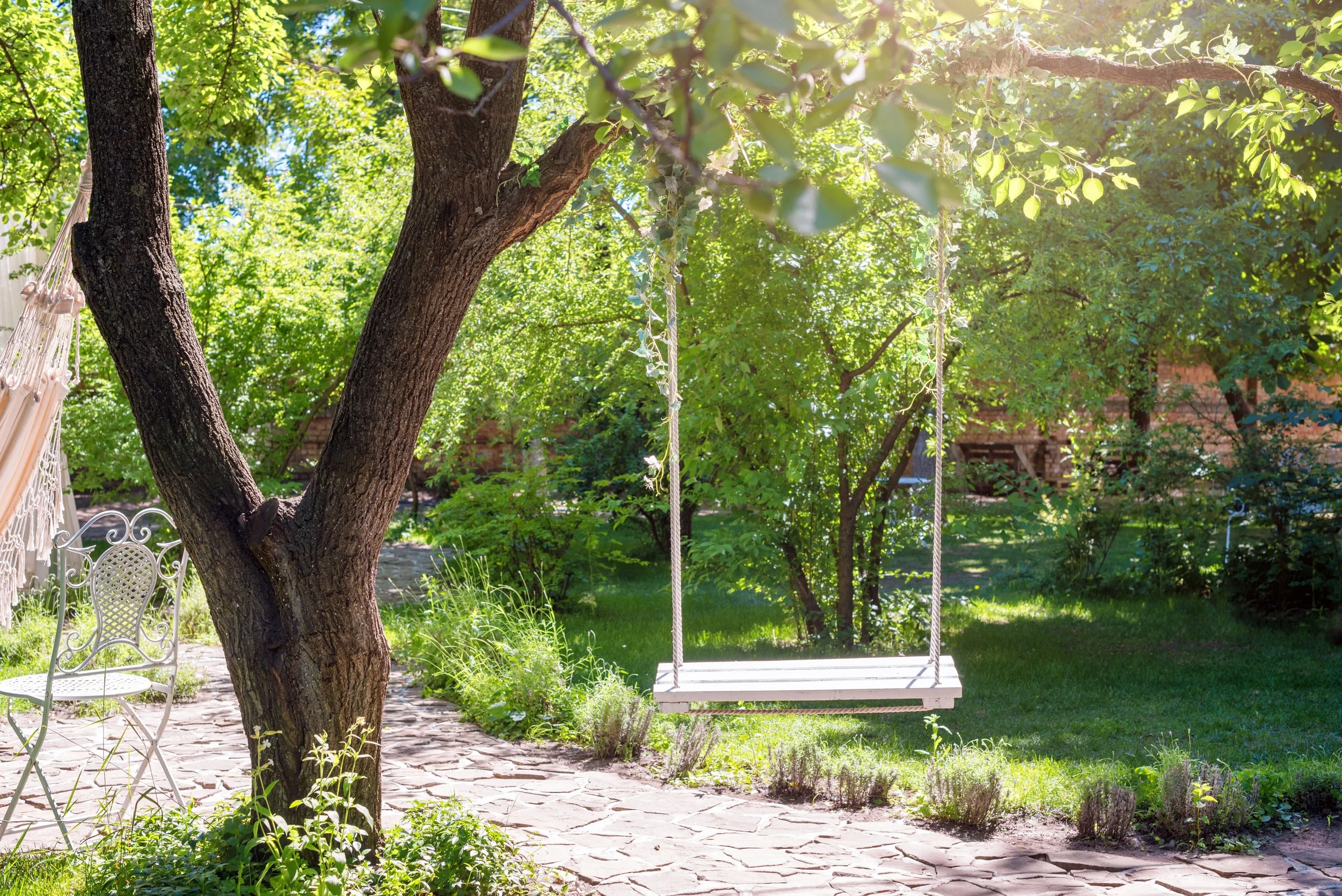 Swing on tree deals